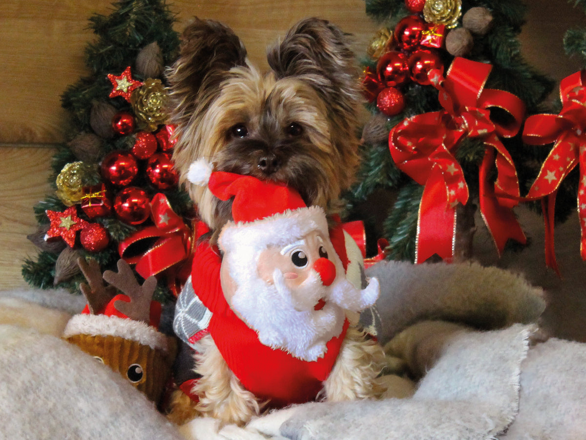 XMAS