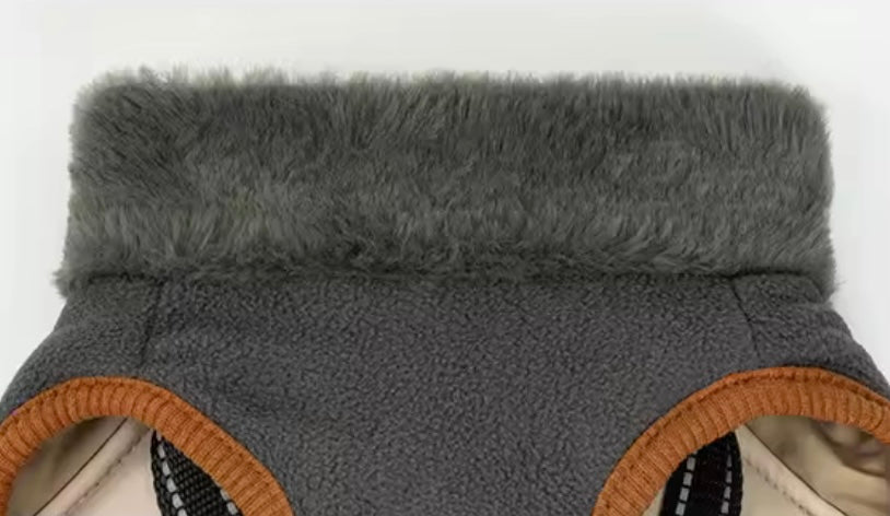 Hundemantel FancyDogs image 1