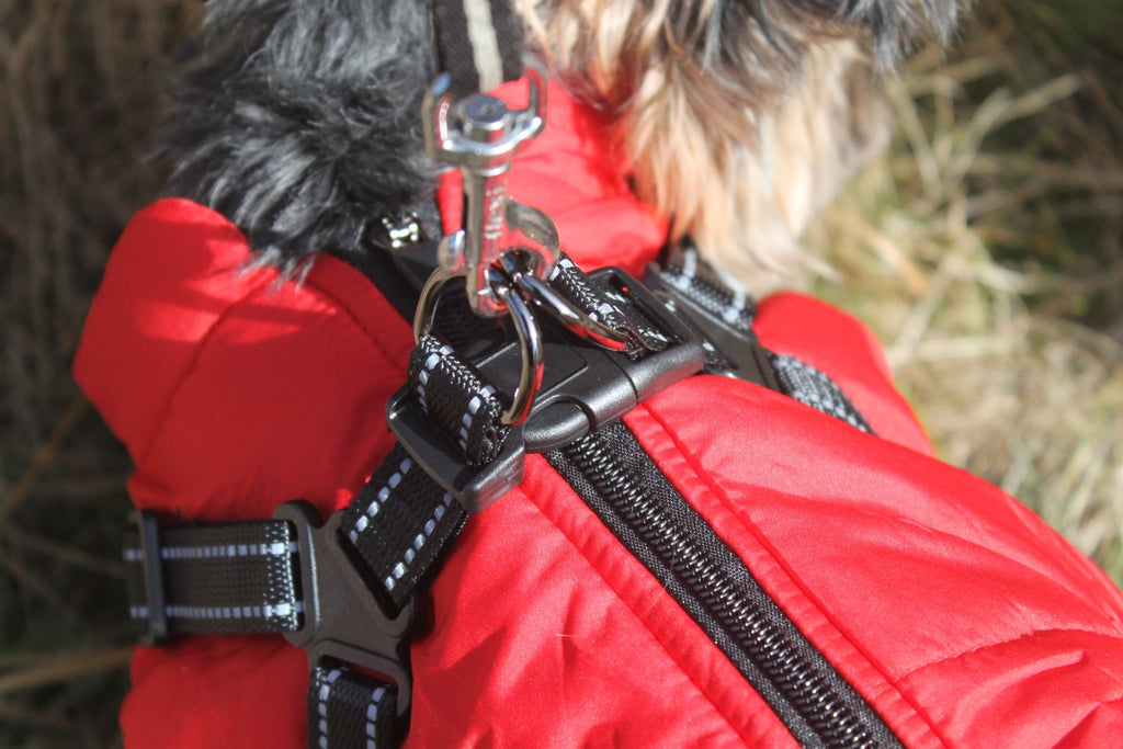Hundemantel Rot image 1