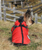Hundemantel Rot image 5