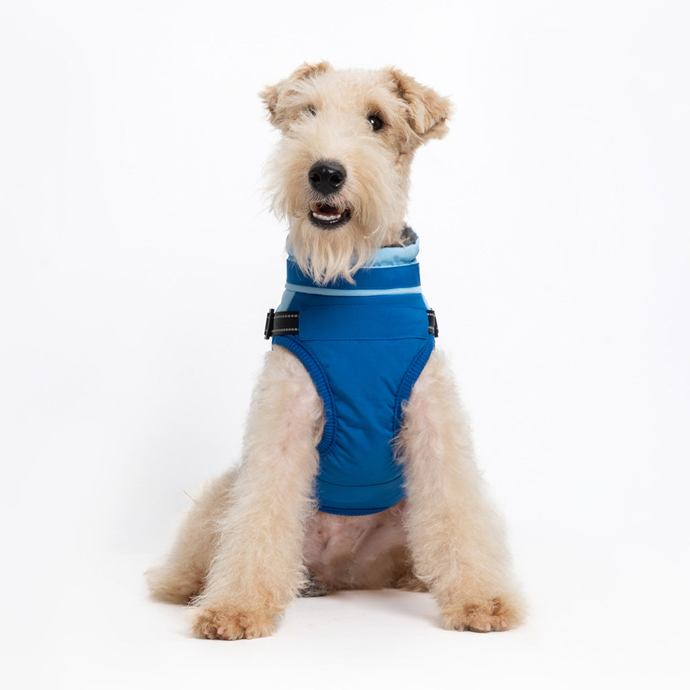 Hundemantel FancyDogs blau