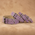 Halsband Lila