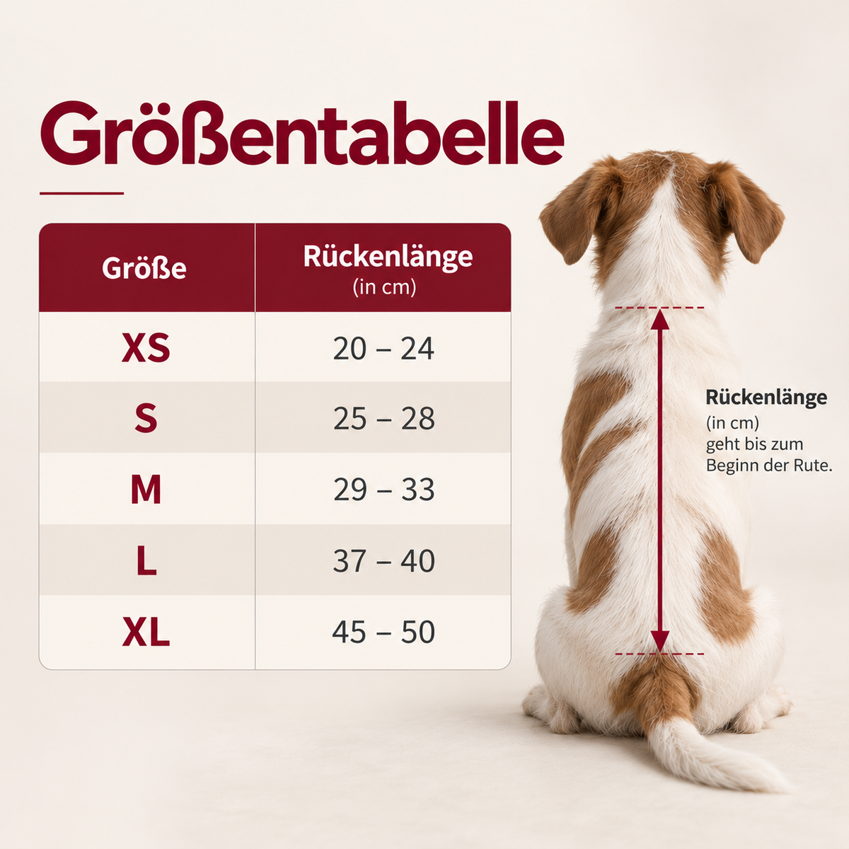 Hundepullover Bär
