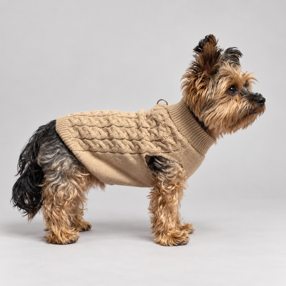 Hundepullover Beige