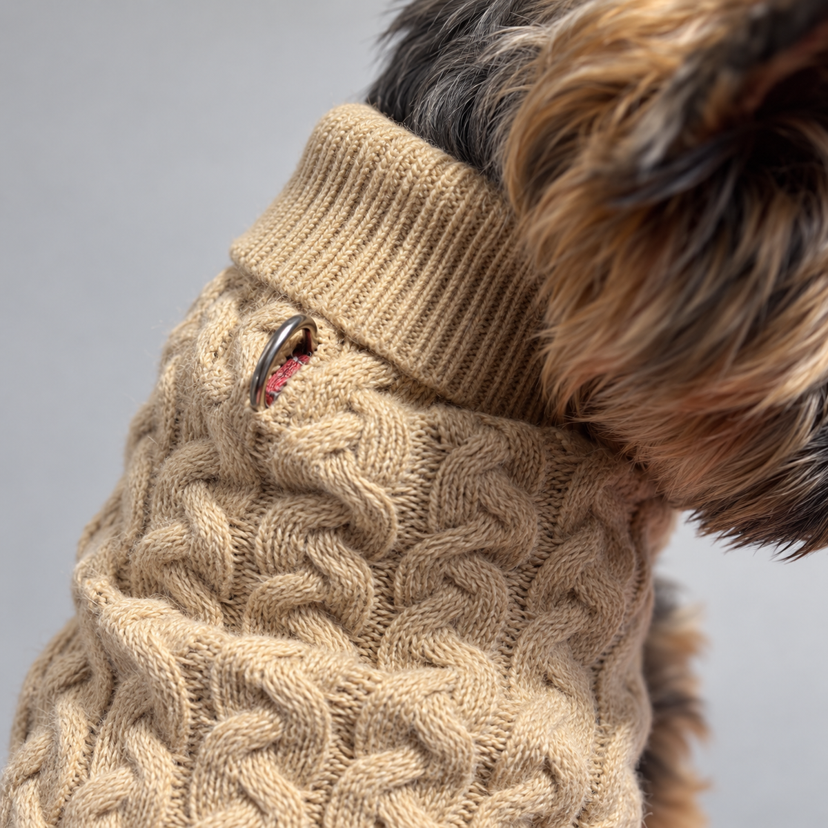 Hundepullover Beige