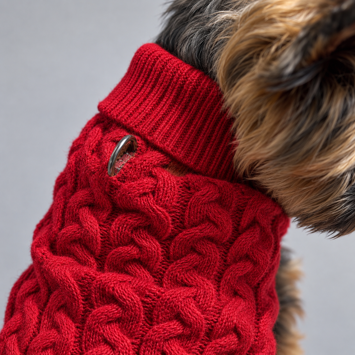 Hundepullover Rot