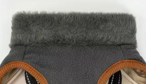 Hundemantel FancyDogs image 1