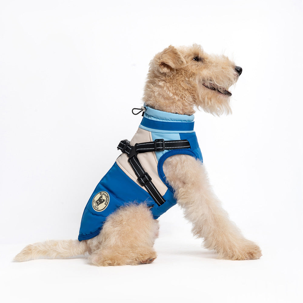 Hundemantel FancyDogs blau