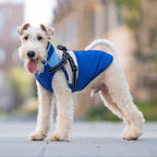 Hundemantel mit Geschirr blau