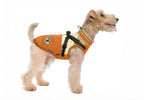 Hundemantel FancyDogs image 0