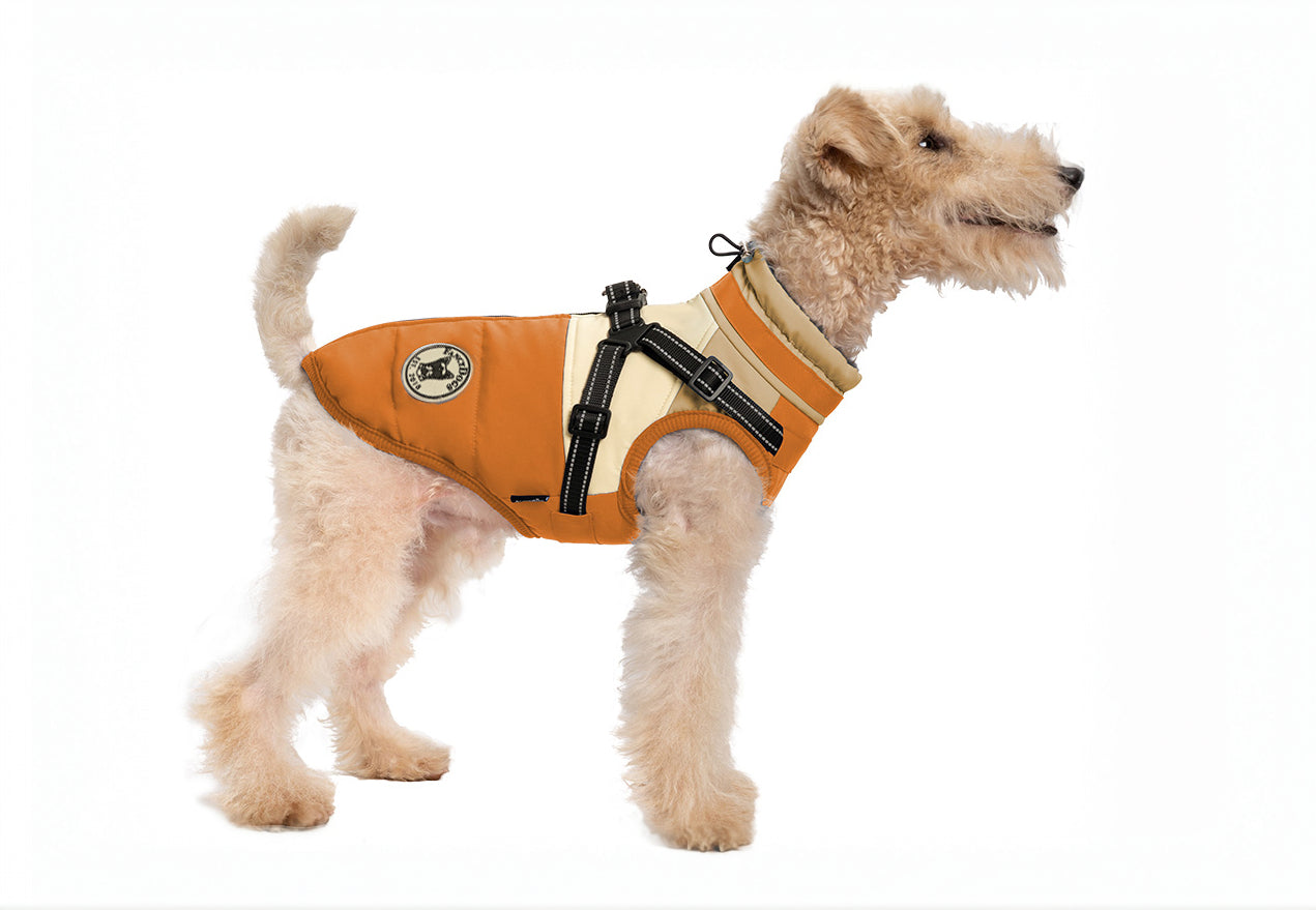 Hundemantel FancyDogs image 0