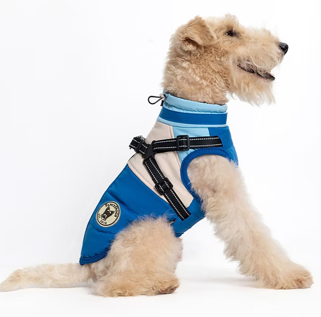 Hundemantel FancyDogs image 0