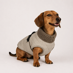 Hundemantel khaki