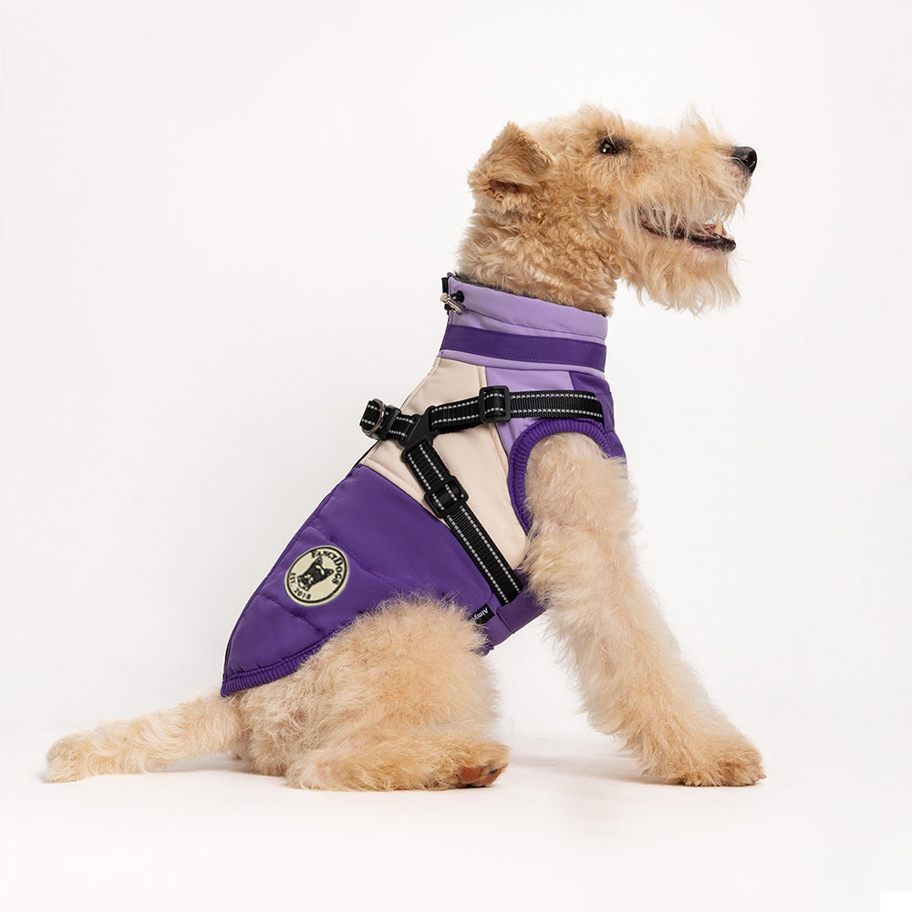 Hundemantel FancyDogs image 0