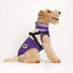 Hundemantel FancyDogs image 0