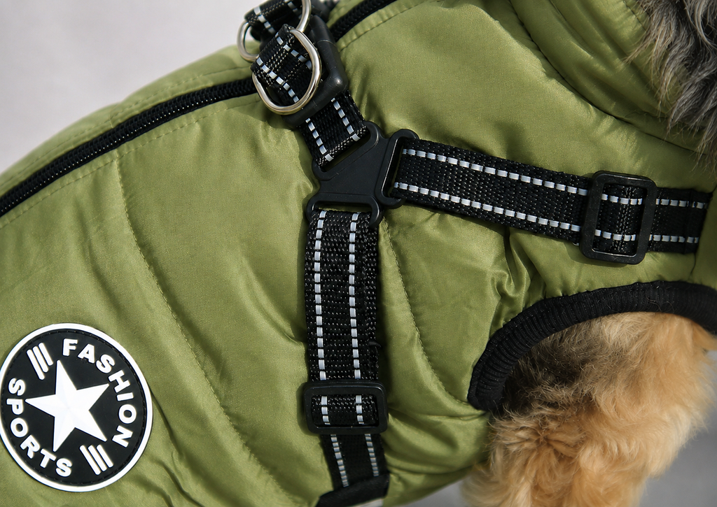 Hundemantel mit Geschirr green