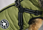 Hundemantel mit Geschirr green