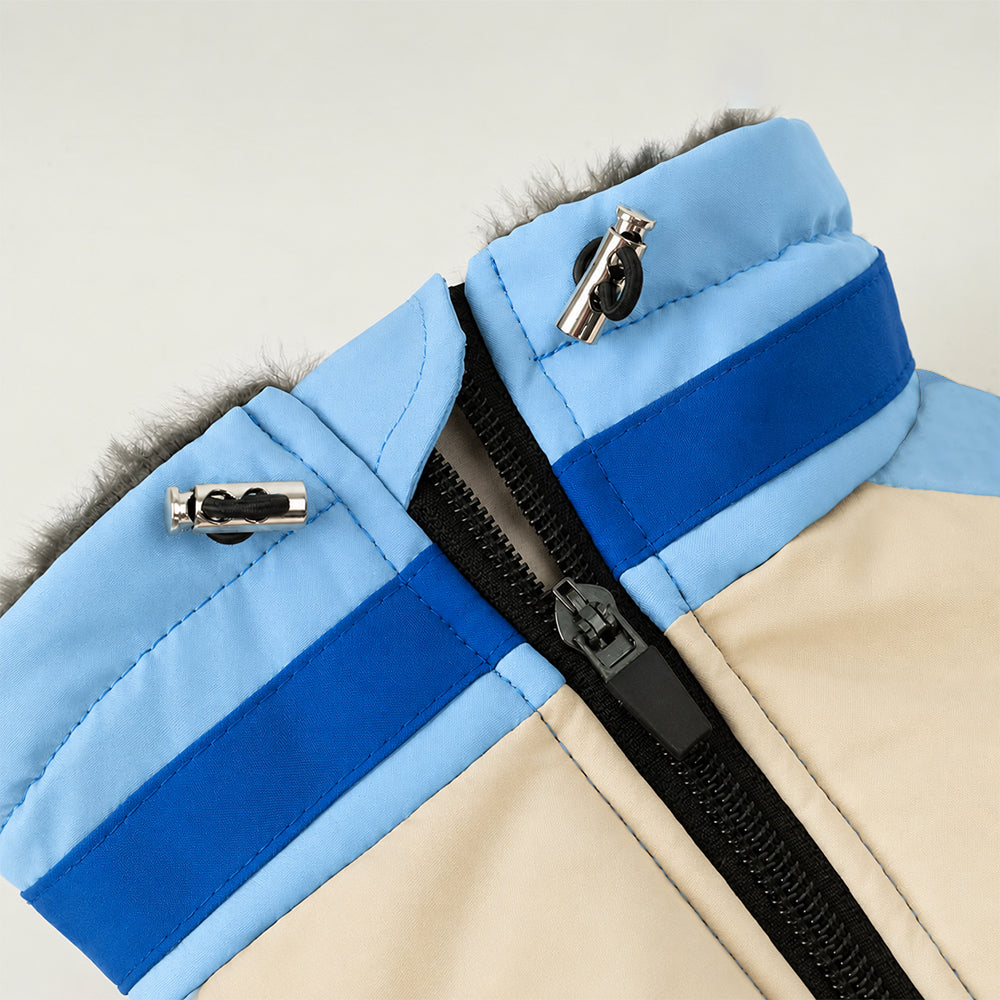 Hundemantel FancyDogs blau
