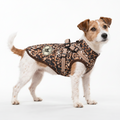 Hundemantel mit Geschirr Leo