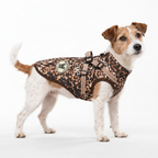 Hundemantel mit Geschirr Leo