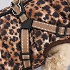 Hundemantel mit Geschirr Leo