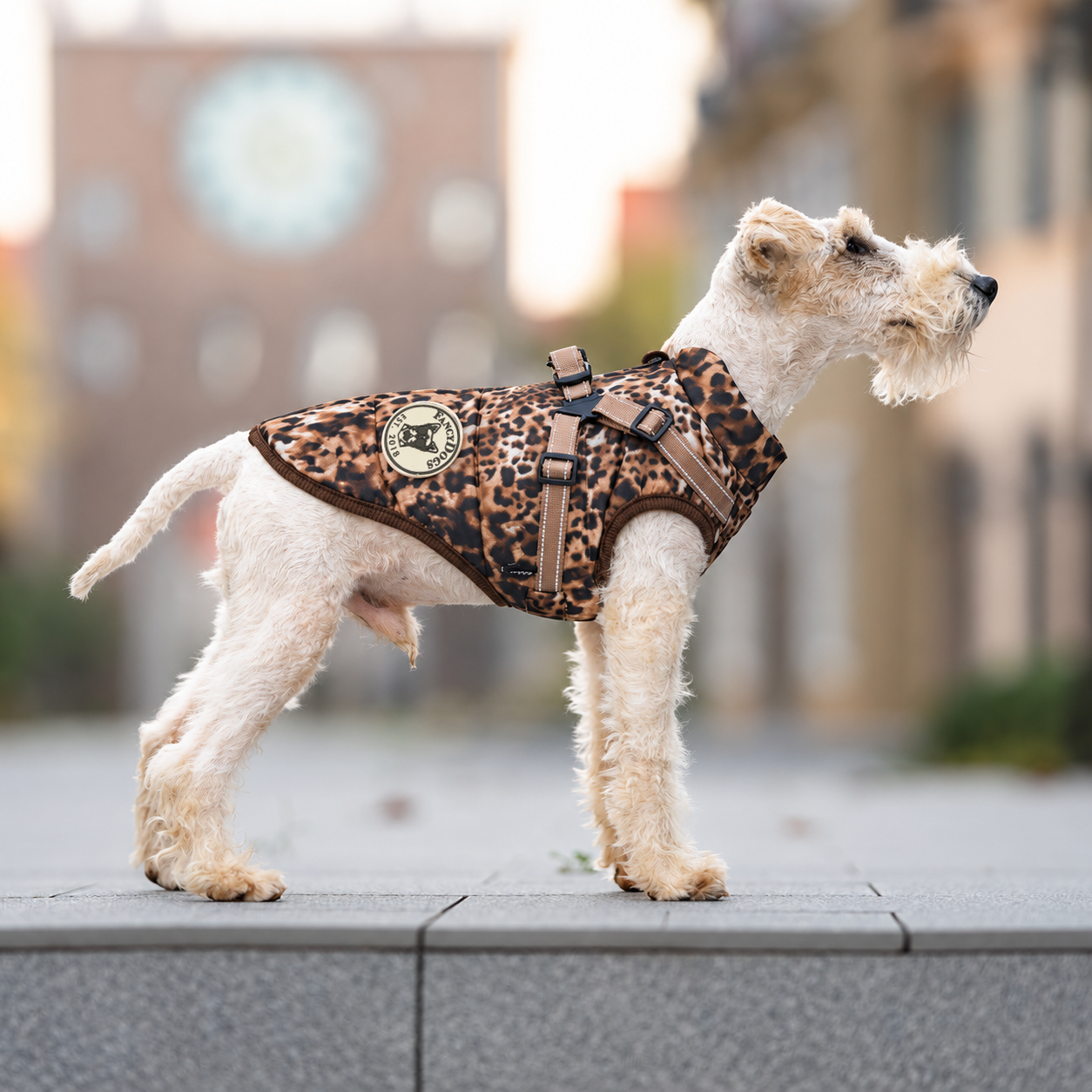 Hundemantel mit Geschirr Leo