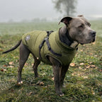Hundemantel mit Geschirr green