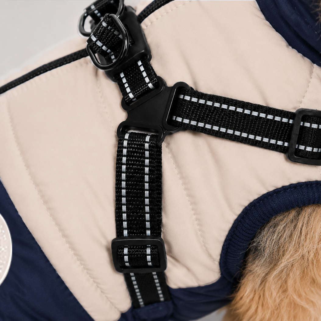 Hundemantel mit Geschirr navy/beige