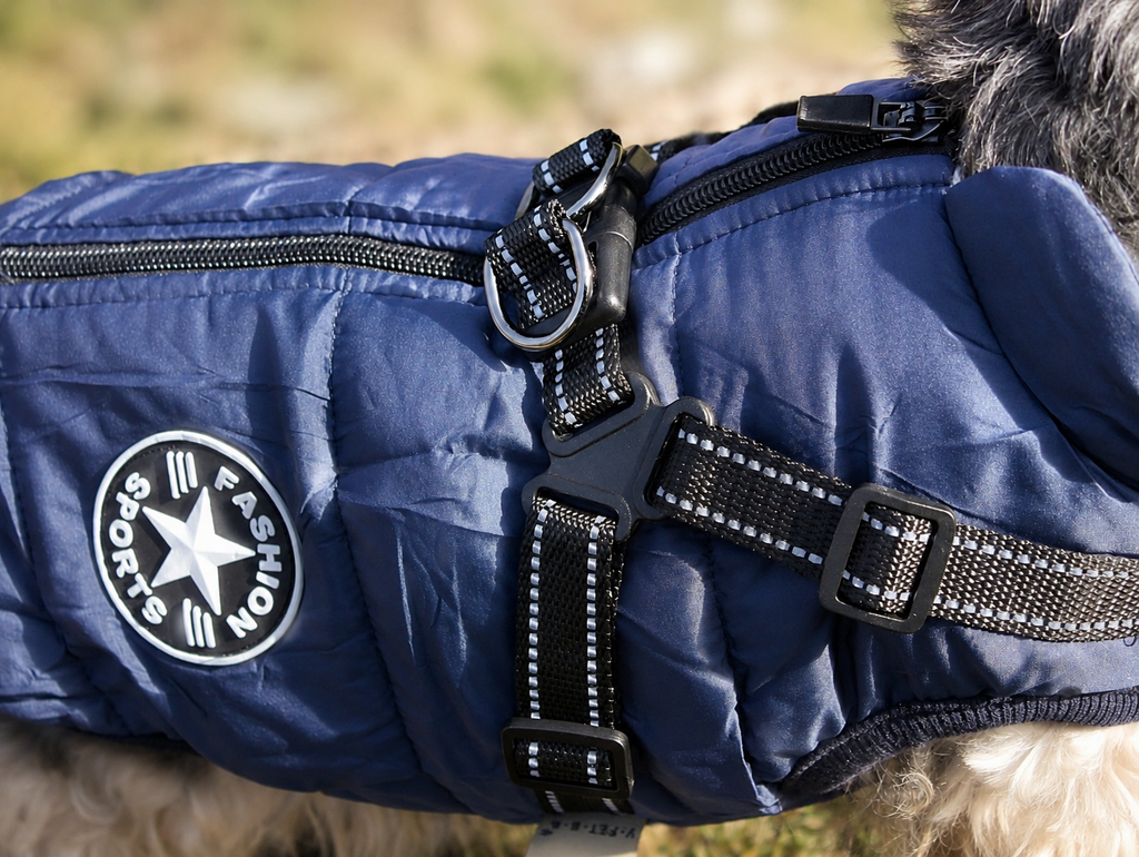 Hundemantel mit Geschirr navy