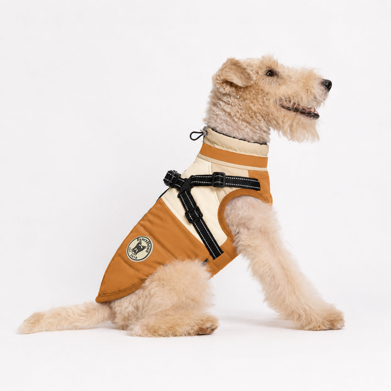 Hundemantel FancyDogs