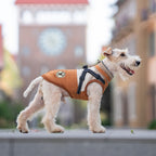 Hundemantel mit Geschirr orangebraun