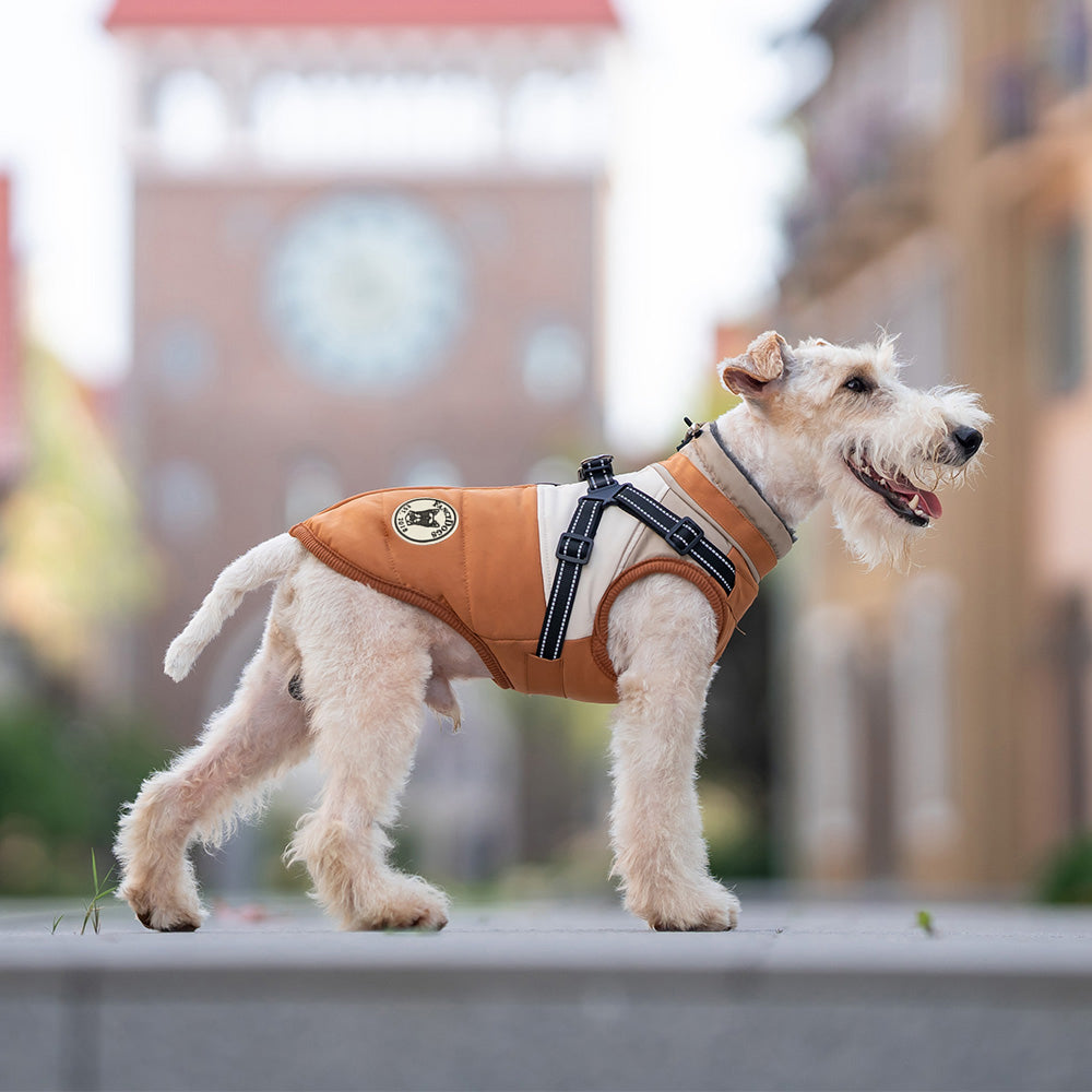 Hundemantel mit Geschirr orangebraun