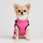 Hundemantel mit Geschirr pink