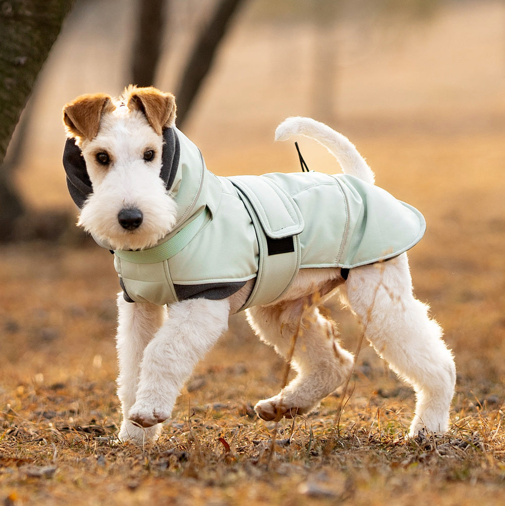 Hundemantel "Norway" Salbei mit integriertem Halsband