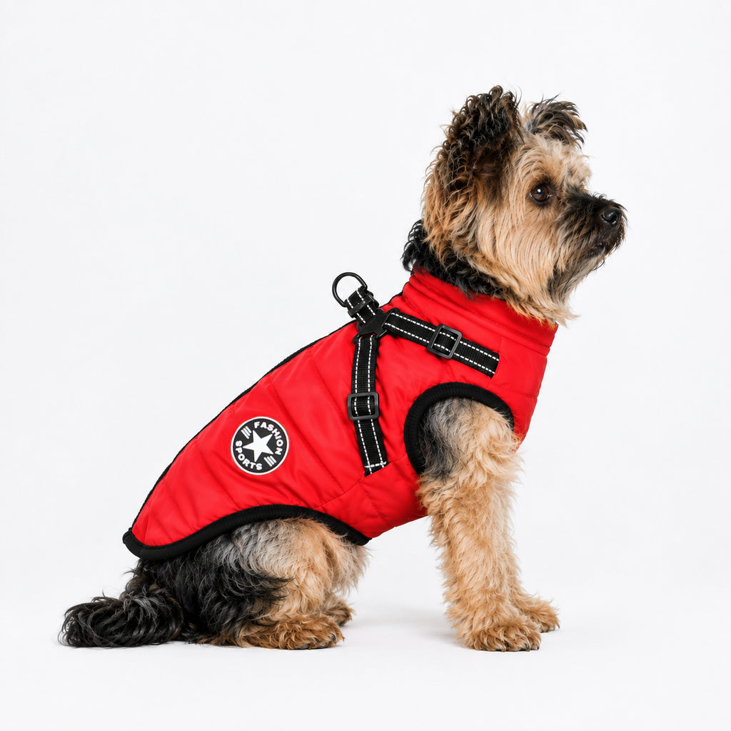Hundemantel mit Geschirr rot