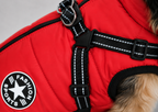 Hundemantel mit Geschirr rot