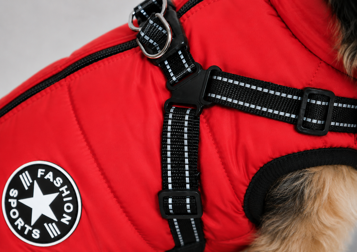 Hundemantel mit Geschirr rot