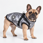 Hundemantel mit Geschirr silber
