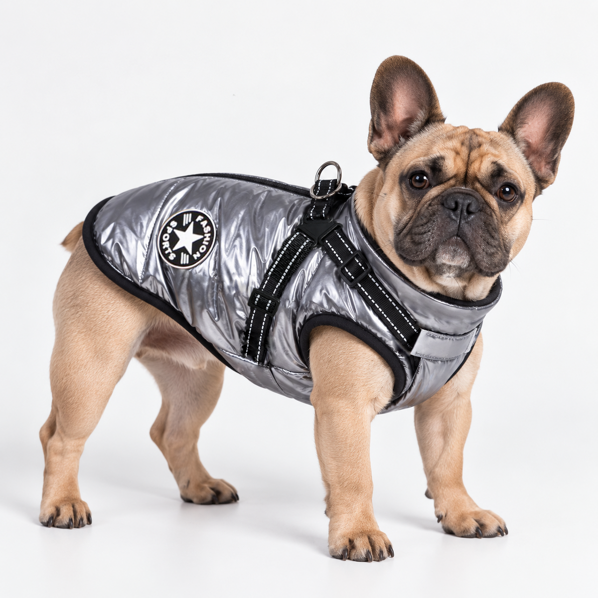 Hundemantel mit Geschirr silber