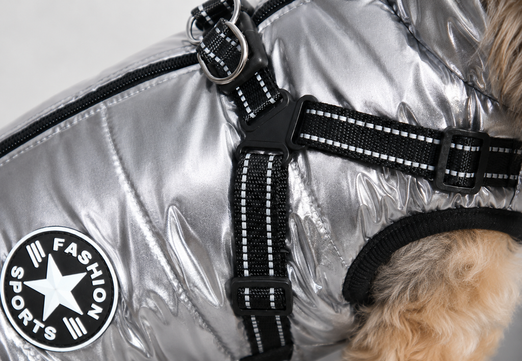 Hundemantel mit Geschirr silber