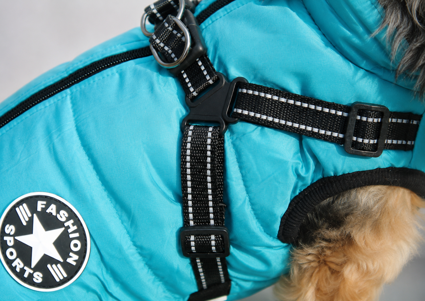 Hundemantel mit Geschirr türkis